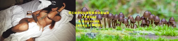 ALPHA PVP Беломорск