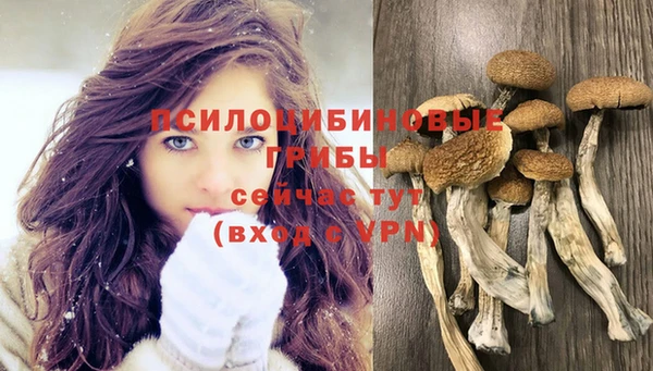 ALPHA PVP Беломорск